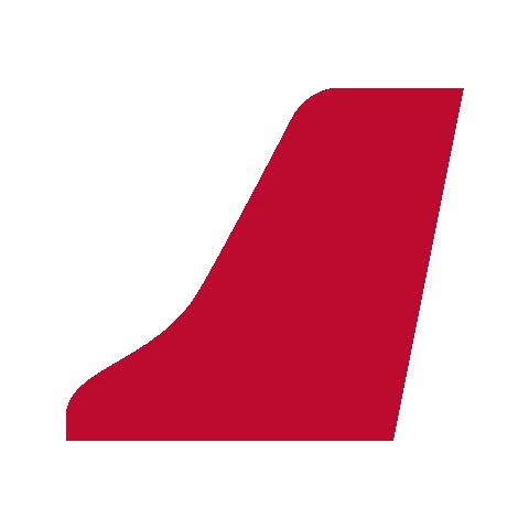 airplane tail-Aviosky Button Red